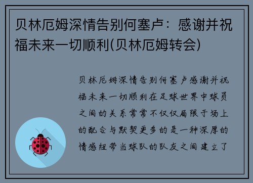 贝林厄姆深情告别何塞卢：感谢并祝福未来一切顺利(贝林厄姆转会)
