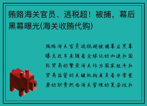 贿赂海关官员、逃税超！被捕，幕后黑幕曝光(海关收贿代购)