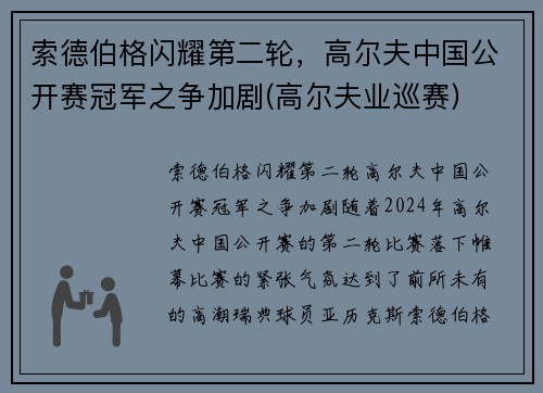 索德伯格闪耀第二轮，高尔夫中国公开赛冠军之争加剧(高尔夫业巡赛)